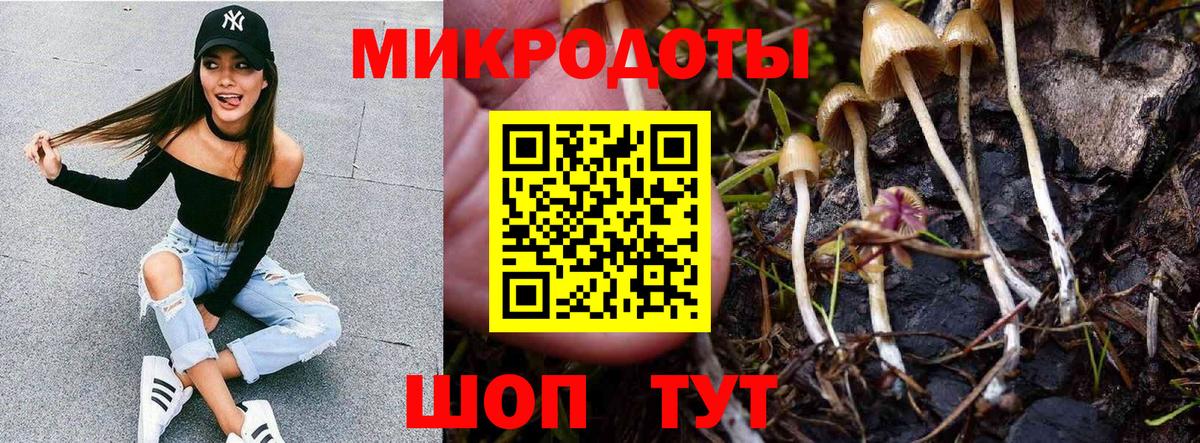 Галлюциногенные грибы мухоморы  Вход с VPN  Новоалтайск 
