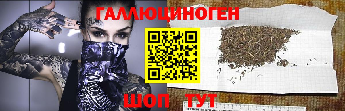 Псилоцибиновые грибы прущие грибы Новоалтайск